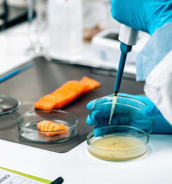 How to Become a Microbiologist - A Complete Guide