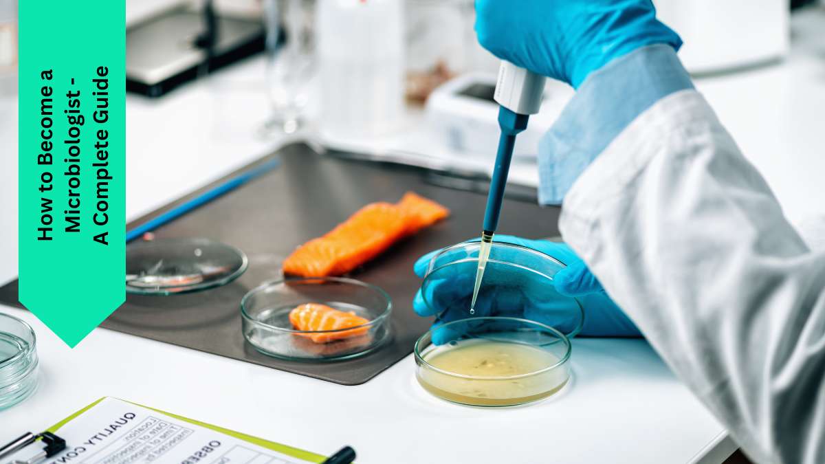 How to Become a Microbiologist - A Complete Guide