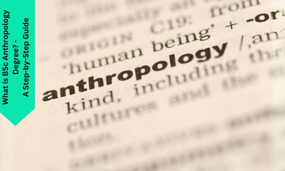 What is BSc Anthropology Degree? - A Step-by-Step Guide