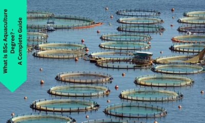 What is BSc Aquaculture Degree? - A Complete Guide