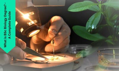 What is BSc Biology Degree? - A Complete Guide