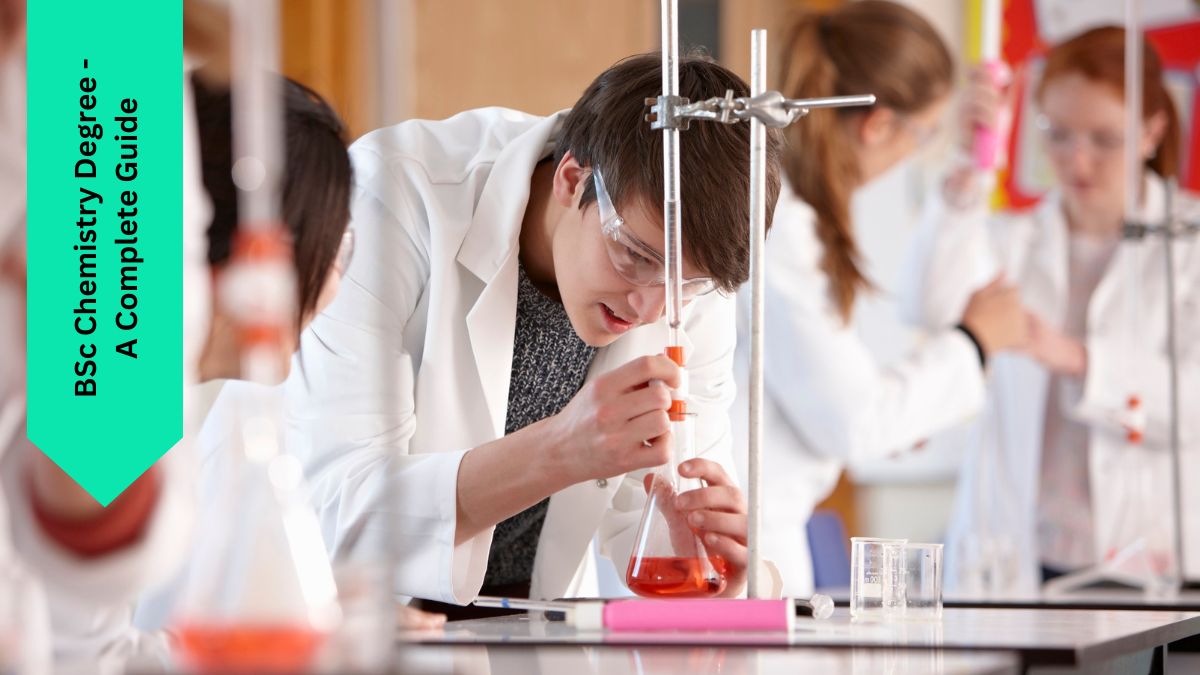 BSc Chemistry Degree - A Complete Guide