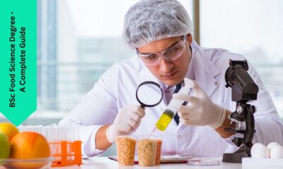 BSc Food Science Degree - A Complete Guide