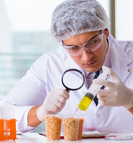 BSc Food Science Degree - A Complete Guide