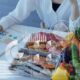 BSc Food Science and Nutrition Degree - A Step by Step Guide
