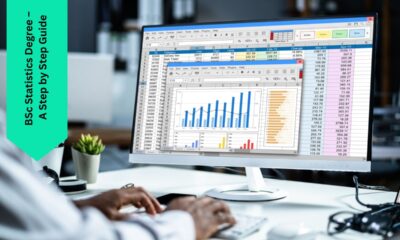 BSc Statistics Degree - A Step by Step Guide
