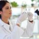 Bsc Botany Degree - A Complete Guide