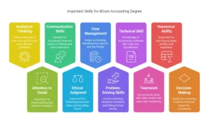 Important Skills for BCom Accounting Degree