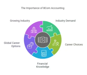 Why Studying BCom Accounting is Important
